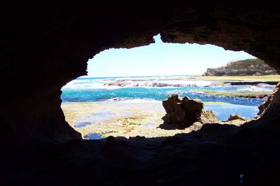 Mornington Peninsula Private Day Tour - From Melbourne to the peninsula: the value of a private format
