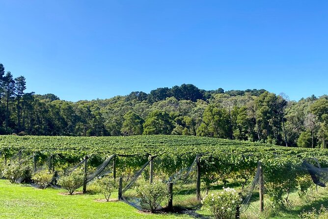 Mornington Peninsula Self-Guided Bike Tour | Food & Wine Region - Stop 6: Merricks Red Hill Rail Trail down to Merricks Beach