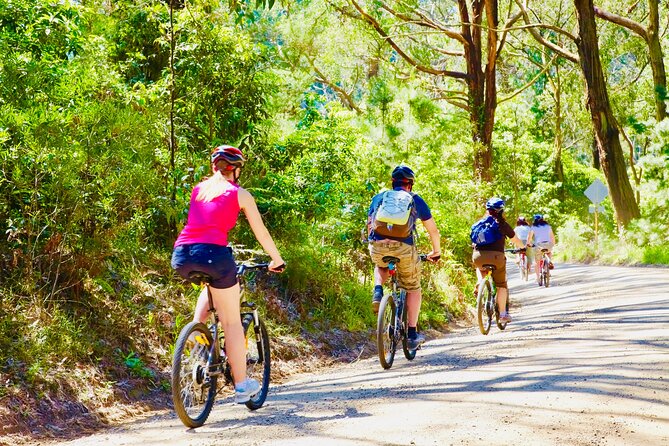 Mornington Peninsula Self-Guided Bike Tour | Food & Wine Region - Stop 1: Seawinds Gardens and the real reason to linger
