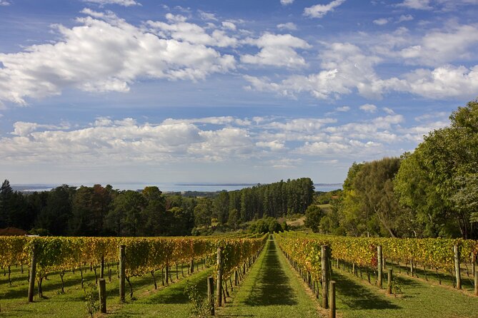 Mornington Peninsula Wine Day Tour - Mornington Peninsula wine country: why this day trip feels different