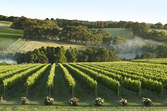 Mornington Peninsula Wine Day Tour - Pickup, small-group flow, and what 10 hours really means