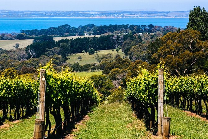 Mornington Peninsula Winery, Beer and Spirits Tour - Beer stops: St Andrews Beach Brewery and the best pub energy