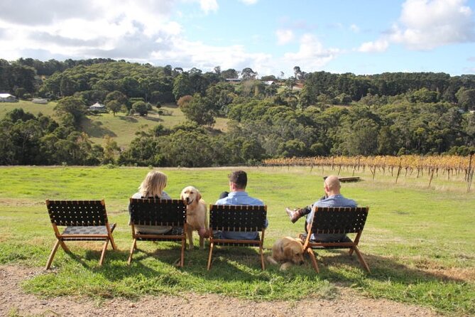 Mornington Peninsula Winery, Beer and Spirits Tour - Late-day walkable options: Jetty Road Brewery and more