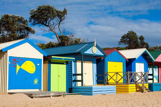 Mornington Peninsula Winery Bus Tour including lunch with a glass of wine - Stop 4: Dromana Estate for a chill final tasting
