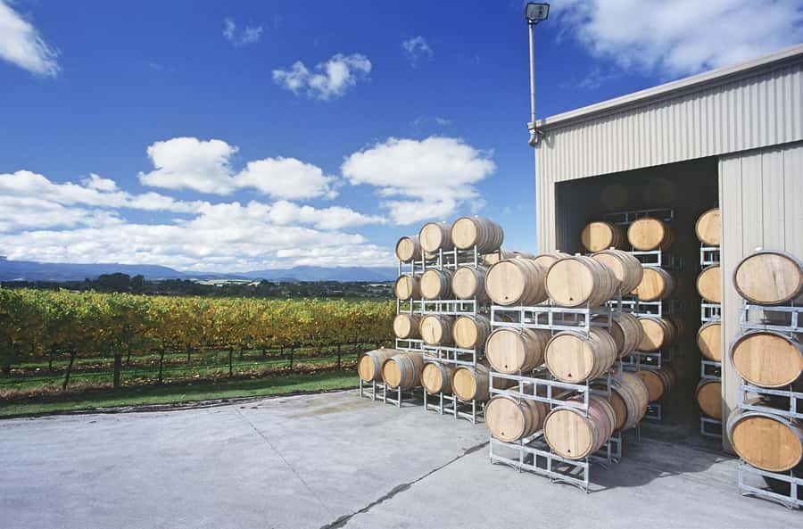 Mornington Peninsula Winery Bus Tour with Lunch & Wine - Winery stops: how to get the most out of tastings