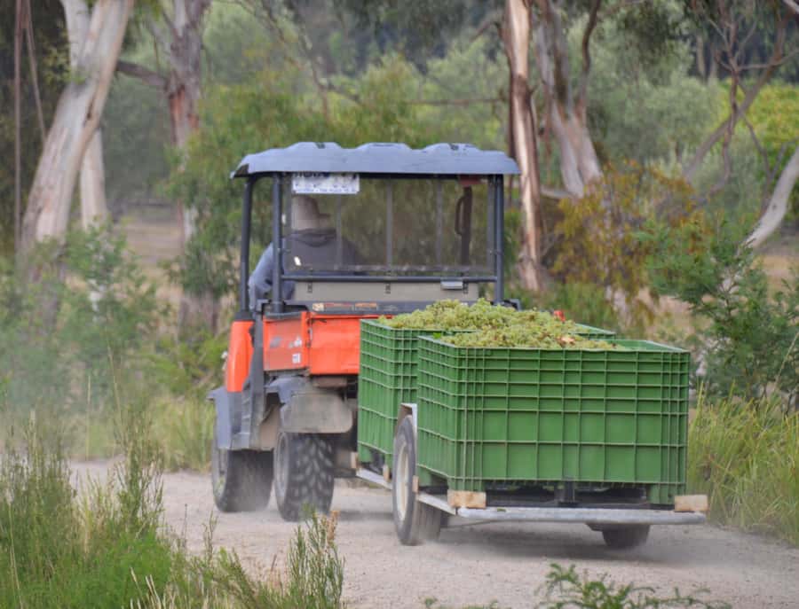 Mornington Peninsula Winery Bus Tour with Lunch & Wine - The guide and driver: what can shape the day