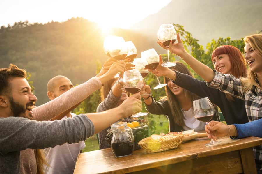 Mornington Peninsula Winery Bus Tour with Lunch & Wine - Price and logistics: whether $138 is smart value