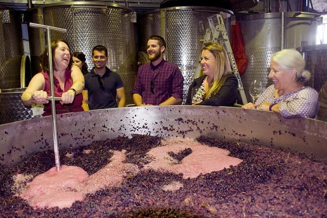 Mornington Peninsula Winery Tour - Lunch Included - Key things I’d circle before you book