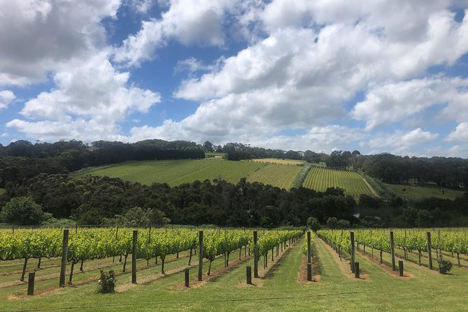 Mornington Peninsula Winery Tour - Lunch Included - Value check: is $170.70 worth it?