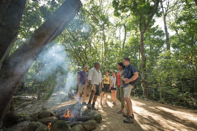 Mossman Gorge Adventure Day - Mossman Gorge Adventure Day: a smart 8–10 hour plan