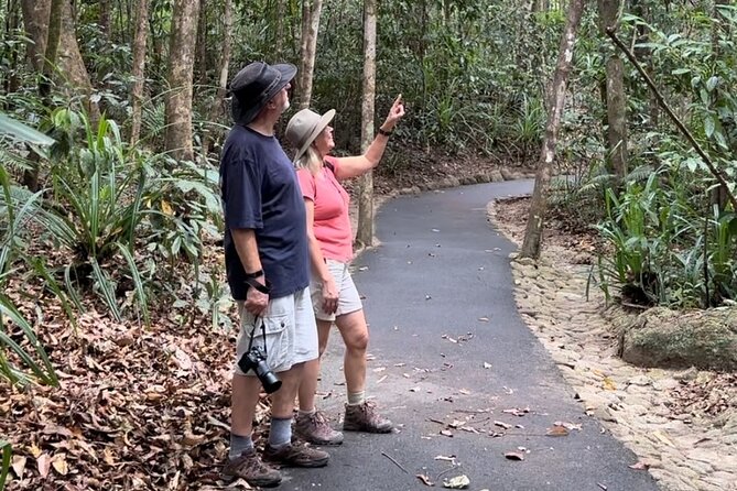 Mossman Gorge Daintree Experience Small Groups - Key Points Worth Clinging To