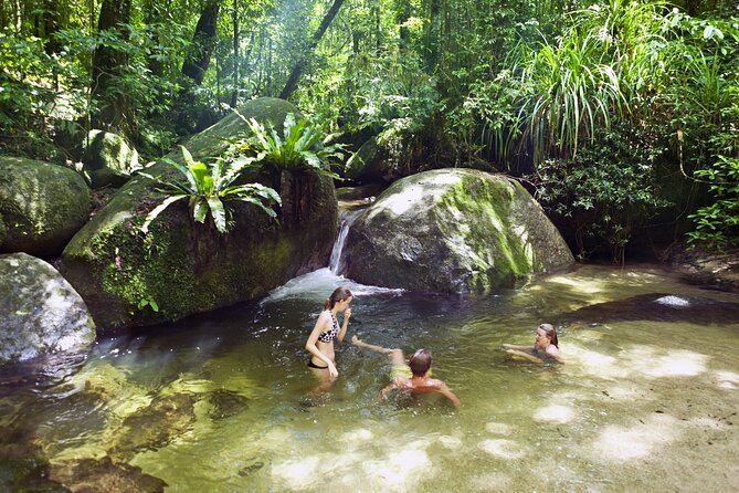 Mossman Gorge Daintree Experience Small Groups - Daintree River Cruise Centre: Morning Tea and Your First Real Look at the Waterway