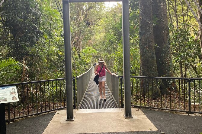 Mossman Gorge Daintree Experience Small Groups - Mossman Gorge Cultural Centre: More Than a Nature Walk