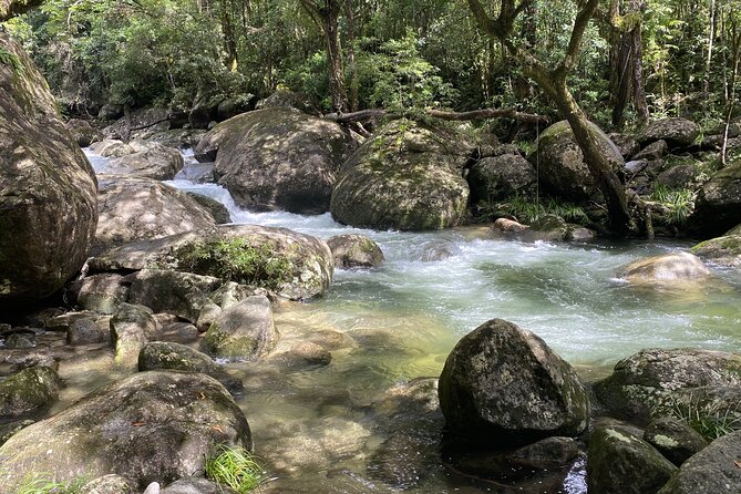 Mossman Gorge Daintree Experience Small Groups - Price and What You’re Really Getting for $190.07