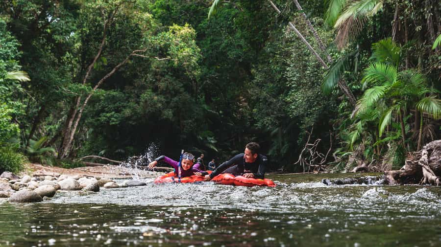 Mossman Gorge: Day Tour with River Drift Experience - 6 quick reasons this day tour hits the right notes