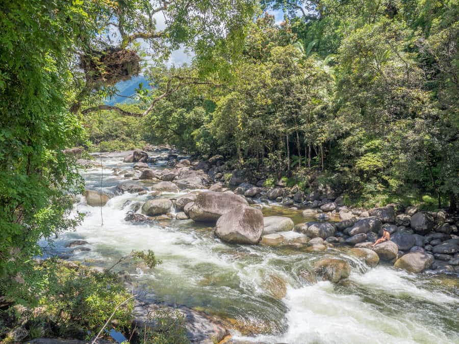 Mossman Gorge: Day Tour with River Drift Experience - Mossman Gorge River Drift: the best kind of “special day” in the Daintree