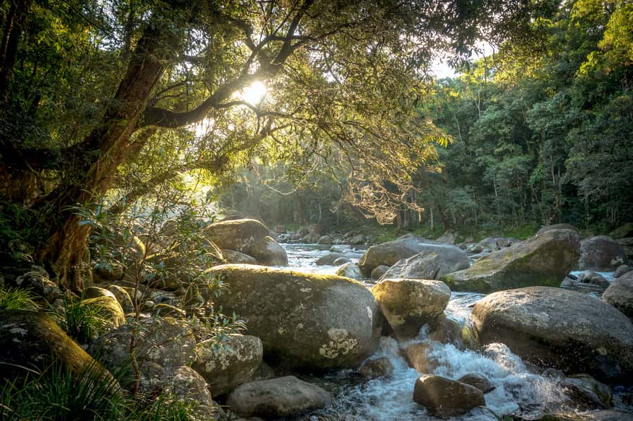 Mossman Gorge: Day Tour with River Drift Experience - The river drift experience: walking first, then sled-floating under the canopy