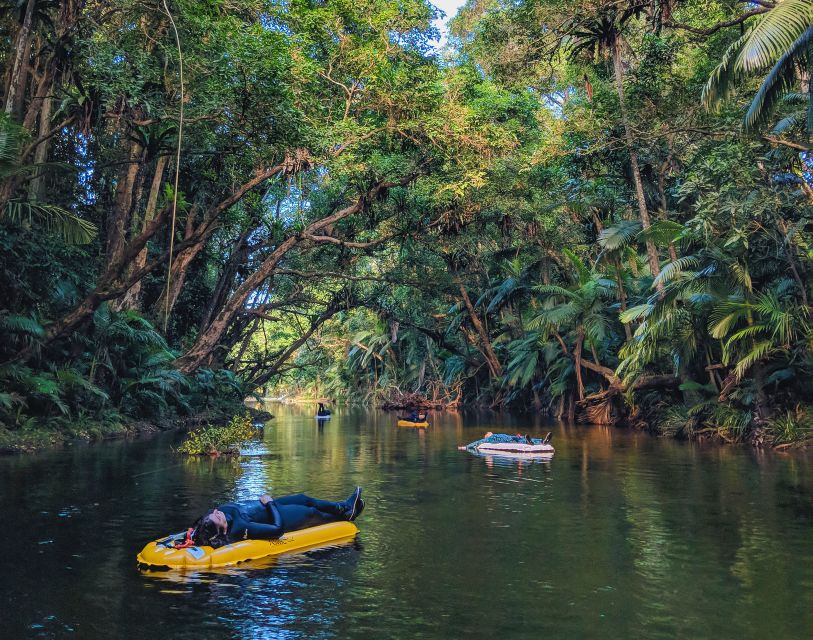 Mossman Gorge: Day Tour with River Drift Experience - Daintree National Park guiding: the circuit walk that teaches you what you’re looking at