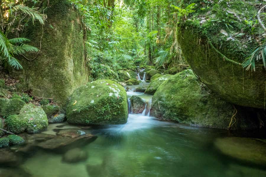 Mossman Gorge: Day Tour with River Drift Experience - Lunch plus snacks: the break that keeps the day from feeling exhausting