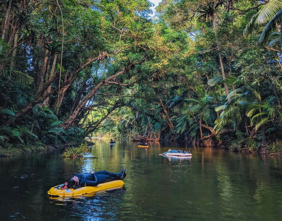 Mossman Gorge: Day Tour with River Drift Experience - How fit do you need to be? Swimming and movement limits are real