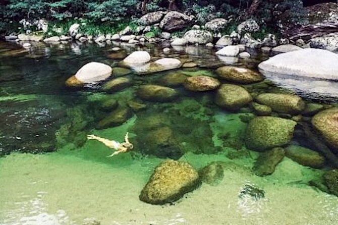 MOSSMAN GORGE TRANSFER between Port Douglas and Mossman Gorge (return) - Why this transfer makes Mossman Gorge easy
