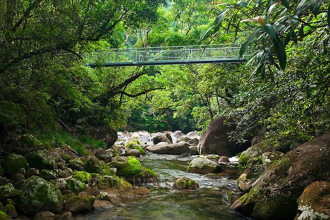 MOSSMAN GORGE TRANSFER between Port Douglas and Mossman Gorge (return) - Rainforest reality check: water color and what to pack