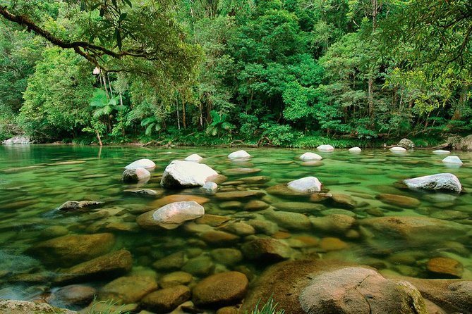 MOSSMAN GORGE TRANSFER between Port Douglas and Mossman Gorge (return) - Indigenous culture and the Daintree gateway idea