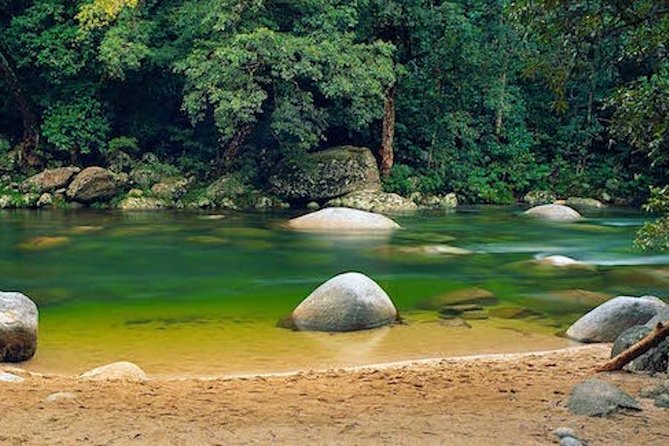 MOSSMAN GORGE TRANSFER between Port Douglas and Mossman Gorge (return) - Timed shuttle schedule: 9:00am out and 2:30pm back