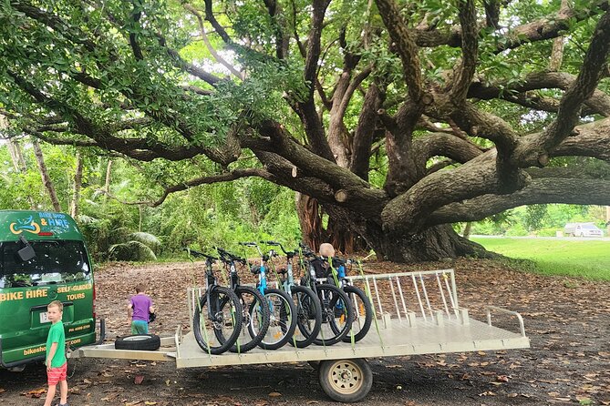 Mossman Highlights eBike Tour - Mossman Saturday Market: where breakfast turns into a plan