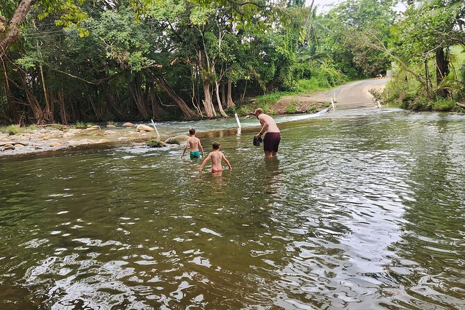 Mossman Highlights eBike Tour - Shannonvale Tropical Fruit Winery: tastings plus a swim pause