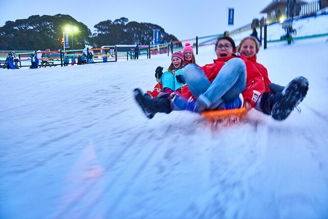 Mount Buller Sightseeing Tour - Melbourne to Mount Buller: Why This Day Trip Feels Worth It