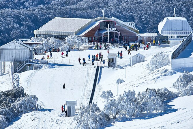 Mount Buller Sightseeing Tour - Mount Buller Village: Your 5–6 Hours on Snow and Sledding