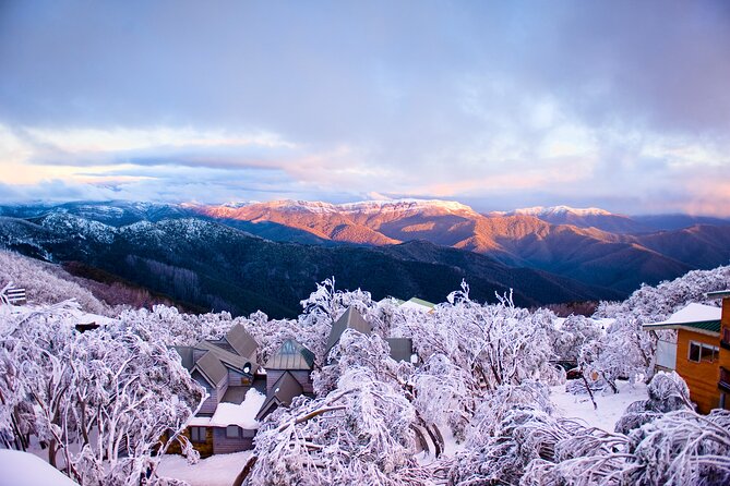 Mount Buller Sightseeing Tour - The Return Plan: Heading Back at 3:30PM and Getting Home Around 8–8:30PM