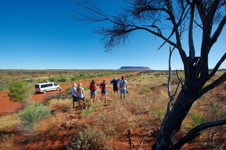 Mount Conner 4WD Small Group Tour from Ayers Rock - Who This Tour Fits Best (And Who Should Skip It)