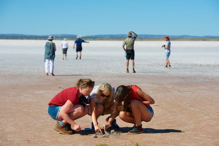 Mount Conner 4WD Small Group Tour from Ayers Rock - Getting There From Ayers Rock: Timing and 4WD Reality