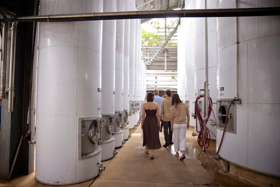 Mount Cotton: Winery Tour & Tasting with 3-Course Lunch - Key highlights at a glance