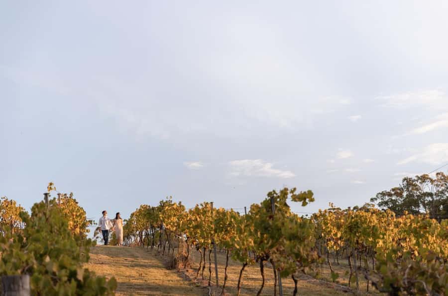 Mount Cotton: Winery Tour & Tasting with 3-Course Lunch - Views and heat management: the comfort stuff that saves the day