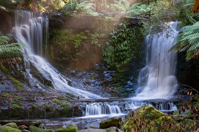 Mount Field And The Derwent Tasting Trail - Key points worth knowing before you go