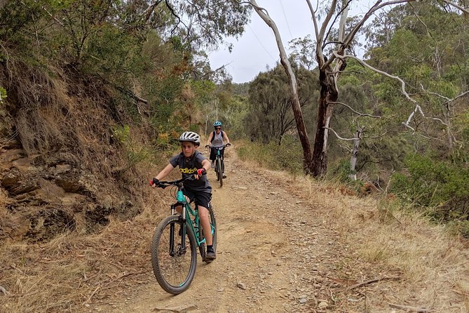 Mount Lofty Descent Bike Tour from Adelaide - Small-group attention and what the guides actually do
