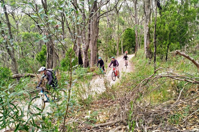 Mount Lofty Descent Bike Tour from Adelaide - Who this Mount Lofty bike tour suits best (and who should rethink it)