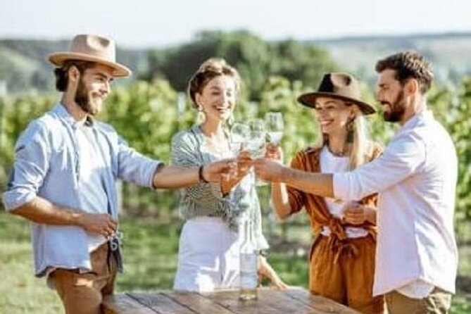 Mount Tamborine Deluxe Wine Tasting with Two Course Lunch - Key things you’ll notice on this tour
