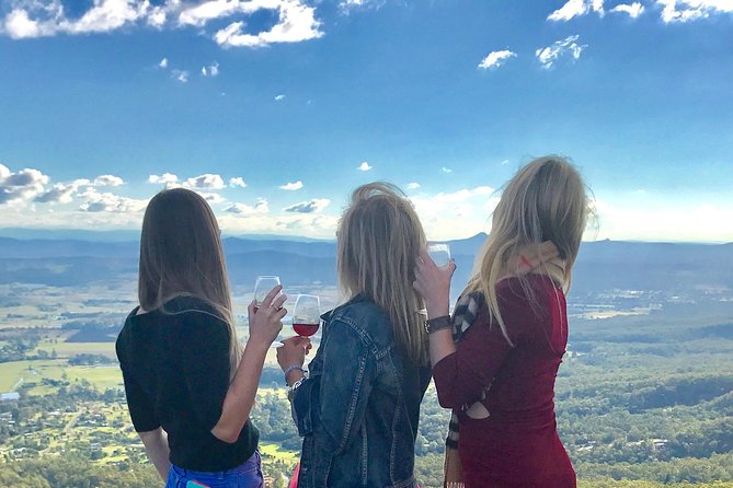 Mount Tamborine Wine Tasting Tour from Brisbane or the Gold Coast - Pickup, Minivan, and the Real Value of Small-Group Time