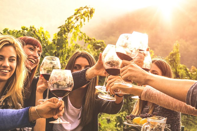 Mount Tamborine Winery Tour with Gourmet lunch - Guides and group energy: why names like Michelle, Andy, Paul matter