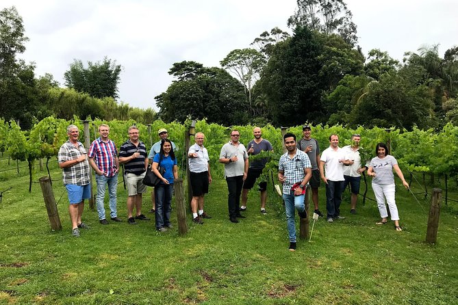 Mount Tamborine Winery Tour with Gourmet lunch - What can go wrong: organization, pacing, and busy-day changes