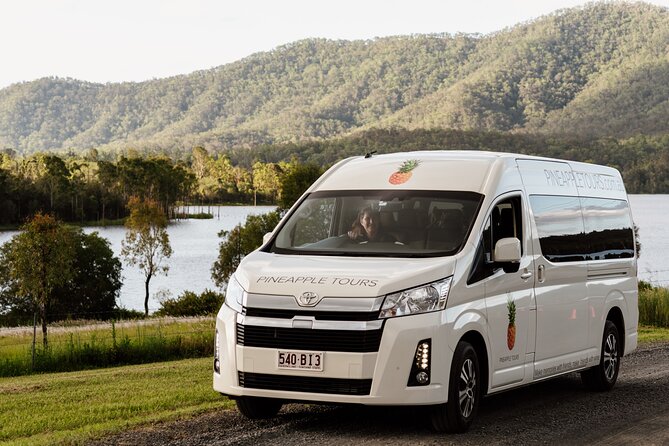 Mount Tamborine Winery Tour with Gourmet lunch - Witches Falls Winery: guided tasting with wine, cider, and beer options