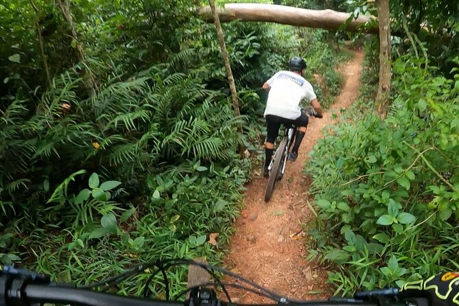 Mountain Bike Tour - Cairns - Key highlights at a glance