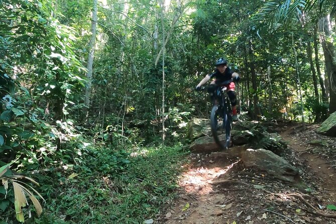 Mountain Bike Tour - Cairns - Smithfield’s technical trail reality: roots, rocks, and staying relaxed