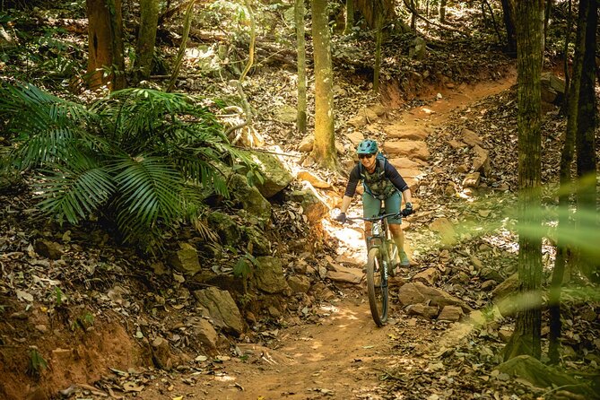 Mountain Bike Tour - Cairns - Palm Cove start to Smithfield trails: how your 4 hours really works