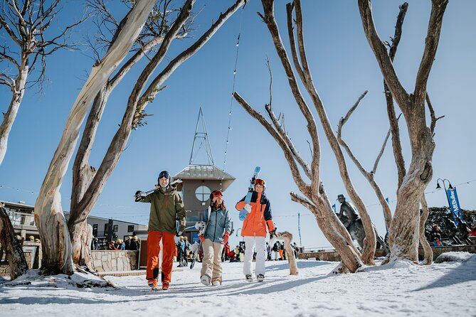 Mt Buller Day Tour – Best Value Hire & Genuine 5 Hours Fun - The value question: why $71.01 can actually make sense