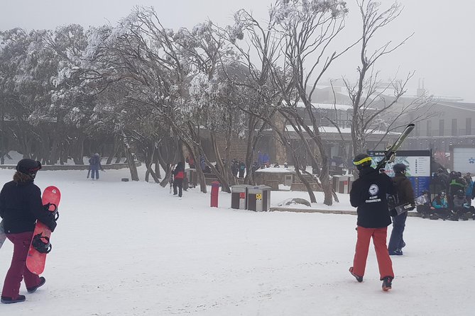 Mt Buller Day Trip from Melbourne - Riding out of Melbourne: air-conditioned minibus comfort with local navigation
